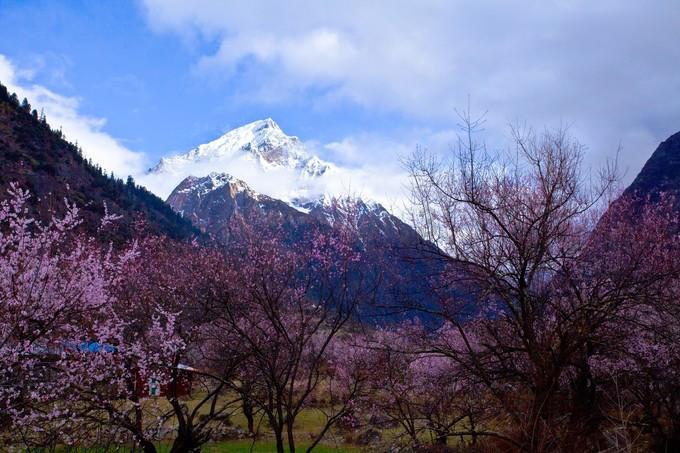 苹果欧洲大幅调整抽成比例 苹果税从30%降至17%